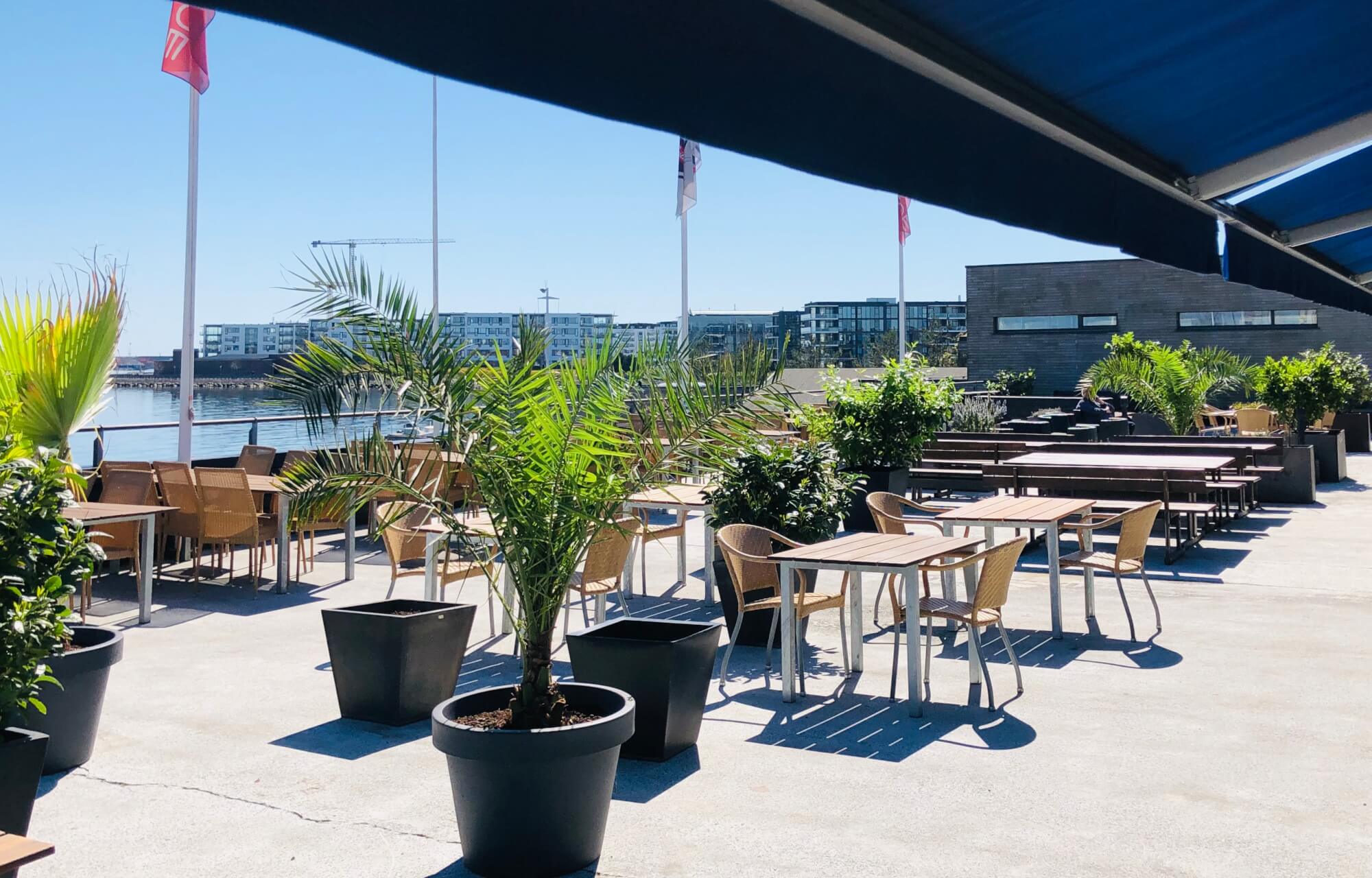 Bådene i Hellerup Havn